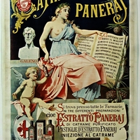Catrame Paneraj
