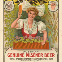 Austrian Genuine Pilsener Beer