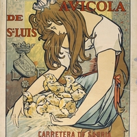 Granja Avicola de Sn. Luis